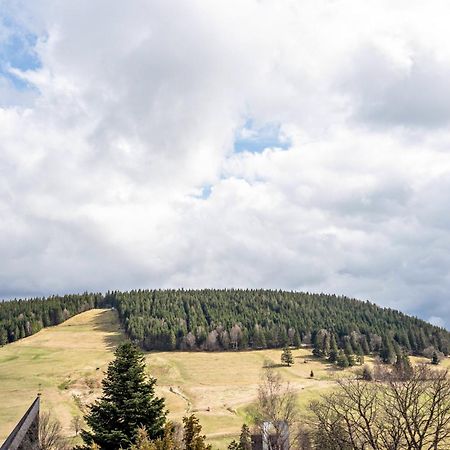Haus Bergruh Kuckucksnest Apartment Todtnauberg Bagian luar foto